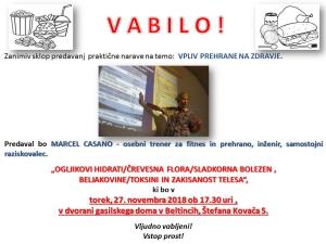 MARCEL CASANO PREDAVANJE 2018  NOVEMBER 2+3 SKLOP